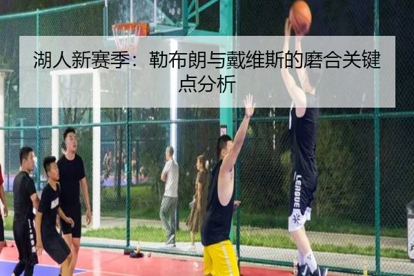 湖人新赛季：勒布朗与戴维斯的磨合关键点分析